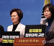 이정미, 일본 전범 기업의 직접 배상 이행 촉구 결의안 발의 기자회견