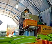 '농산물 군납 수의계약 의무' 강원특별법 개정안에 접경지 화색