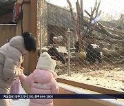 10년째 제자리 '청주동물원 이전 계획' 원점 재검토