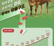 [오늘의 그래픽] 한우값은 뚝뚝 소비자는 감감…문제는 유통구조