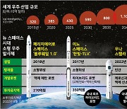 나로호·누리호가 연 한국 우주산업, '뉴 스페이스' 시대에 맞춰야 [황정아의 우주적 시선]