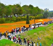 장성 황룡강 가을꽃축제, 올해의 전남 대표축제로 선정돼