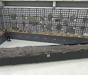2천만 년 전 ‘나무 화석’ 공개…천연기념물로 지정돼