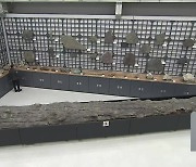 2천만 년 전 ‘나무 화석’ 공개…천연기념물로 지정돼