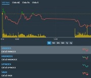 [베트남증시 14일 마감시황] VN지수 5.06p(0.48%) 하락 1,038.64p 'VN지수, 올해 최저치로 급락...유동성도 급감'