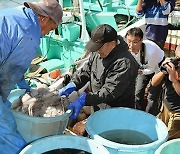 한국인 10명 중 9명, '日 후쿠시마산 식품 위험'…일본인은?