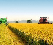 중국, 올해도 1호 문건은 '농촌 진흥'···20년째 농업 강조