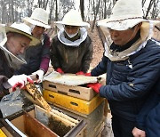 노원구, 도시양봉학교 참가자 모집