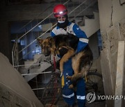APTOPIX Turkey Syria Earthquake Animal Rescues