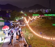 장성 황룡강 가을꽃축제 '2023년 전남 대표축제' 선정