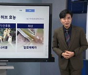 [기상센터] 큰 일교차에 심해진 비염…어떤 '허브'가 좋을까?