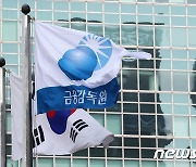 금감원, 올해 금융사 리스크관리 집중 검사…부동산PF 모니터링 강화