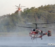 화천서 군부대 연막탄 사격훈련 중 산불…1시간30분 만에 진화(종합)