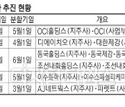 OCI·대한제강·이수화학… 인적분할 앞둔 기업들 `눈치보기`