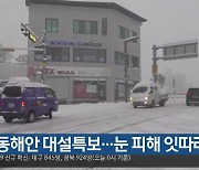 경북 동해안 대설특보…눈 피해 잇따라