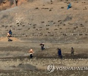작업하는 북한 주민들