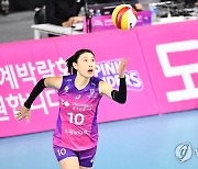 서브하는 김연경