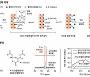 0.3나노 한겹 반도체 껍질로 양자점 발광효율 100% 수준 달성