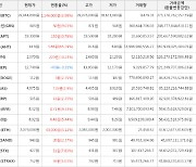 가상화폐 비트코인(+3.98%), 아하토큰(+65.19%)