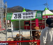 “한우 축제에서 송아지 경품?”···동물보호단체, 동물학대 혐의로 ‘문경문화관광재단’ 고발