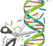 원하는 DNA ‘싹둑’ 유전자 가위 ‘크리스퍼’…바이오 기술에 날개를 달다[전문가의 세계 - 김응빈의 미생물 ‘수다’]