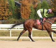 '주목!' 1800m 1등급 경주, 미리 보는 이변의 주인공은