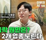 "코스피 저평가 매력 잃었다…역발상 2개 업종 주목해야"