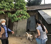 "개는 물 필요 없다" 1m 줄에 묶인 시골개들의 삶 [지구용]