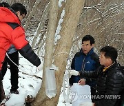 '전국 최고품질' 뱀사골 고로쇠 약수축제 내달 4일 남원서 개최