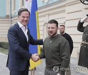 UKRAINE NETHERLANDS DIPLOMACY