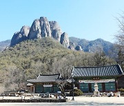 '산소카페' 주왕산... 얼어붙은 계곡에 바위 절경 그대로 [박준규의 기차여행, 버스여행]