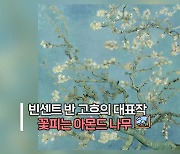 [지구촌톡톡] '봄의 전령' 아몬드꽃…빨라도 너무 빨리 폈네