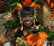 APTOPIX Brazil Carnival