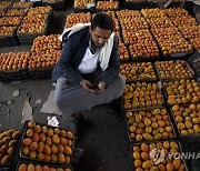 YEMEN MACRO ECONOMICS AGRICULTURE FRUIT MARKET