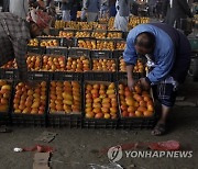 YEMEN MACRO ECONOMICS AGRICULTURE FRUIT MARKET