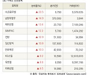 [fnRASSI]장마감, 거래소 상승 종목(HLB글로벌 20.5% ↑)