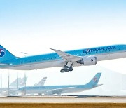 Under Pressure from the Government and Politicians, Korean Air Postpones Introduction of New Mileage Policy