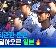 [스포츠머그] 오타니도 없고, 연습 경기도 아닌데…일본 WBC 대표팀 훈련장에 프로야구 경기급으로 팬들 몰린 근황