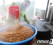 농식품부, 올해 국산 두류 비축계획 발표…콩 6만t, 팥 500t, 녹두 250t