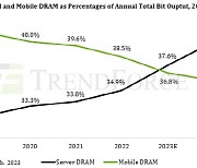 "서버용 D램 공급, 모바일용 추월할 것"