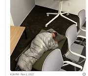 "24시간이 모자라" 사무실 바닥 수면으로 일론머스크 눈에 든 임원