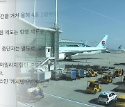 대한항공 마일리지, 이용자·장관·정치권 압박에 결국 백기투항