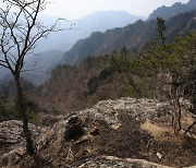 환경단체 “설악산 오색 케이블카 퇴장해야, 사업 불가가 상식”