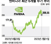 4개월간 2배 오른 뒤 4일간 10% 하락…AI 수혜주 엔비디아 실적 발표[오미주]