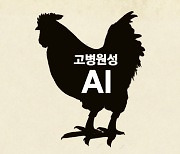 [속보] 연천·정읍·서산 가금농장 고병원성 AI확진