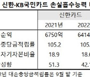 [단독]금감원, '배당성향 96%' 국민카드 현장검사 착수