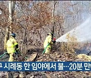 울산 북구 시례동 한 임야에서 불…20분 만에 꺼져