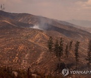 정부, 대규모 산불 피해 칠레에 10만 달러 인도적 지원