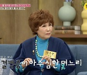 방주연 "사돈에게 '시부모 예절' 안 가르쳤나 문자"→"며느리 2주 가출" ('동치미')