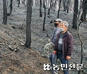 1년 전 ‘동해안 산불’ 아직도 생생한데⋯산불재난 ‘주의’단계 발령